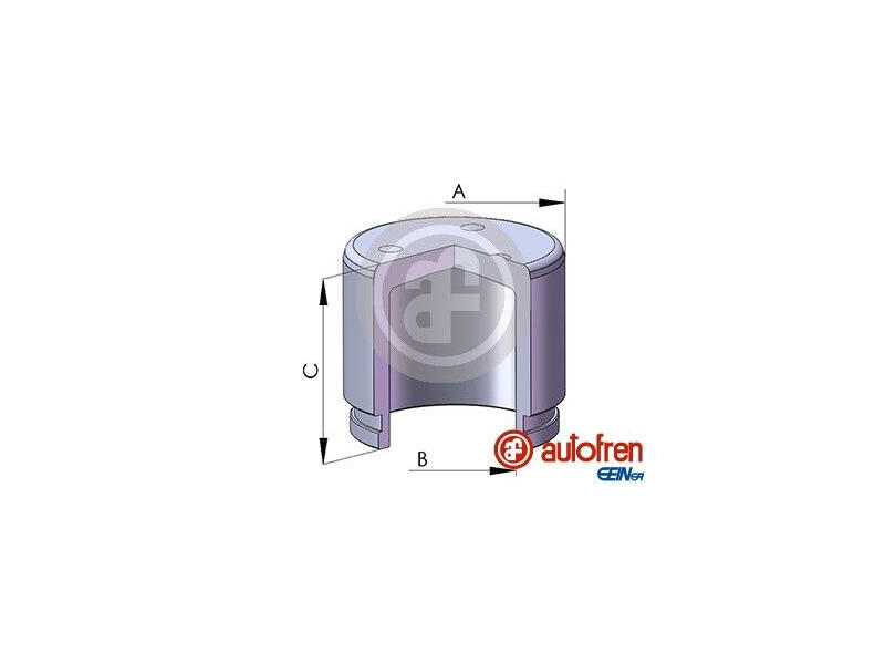 D025278 AUTOFREN SEINSA
